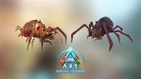 ark araneo|ark survival ascended araneo.